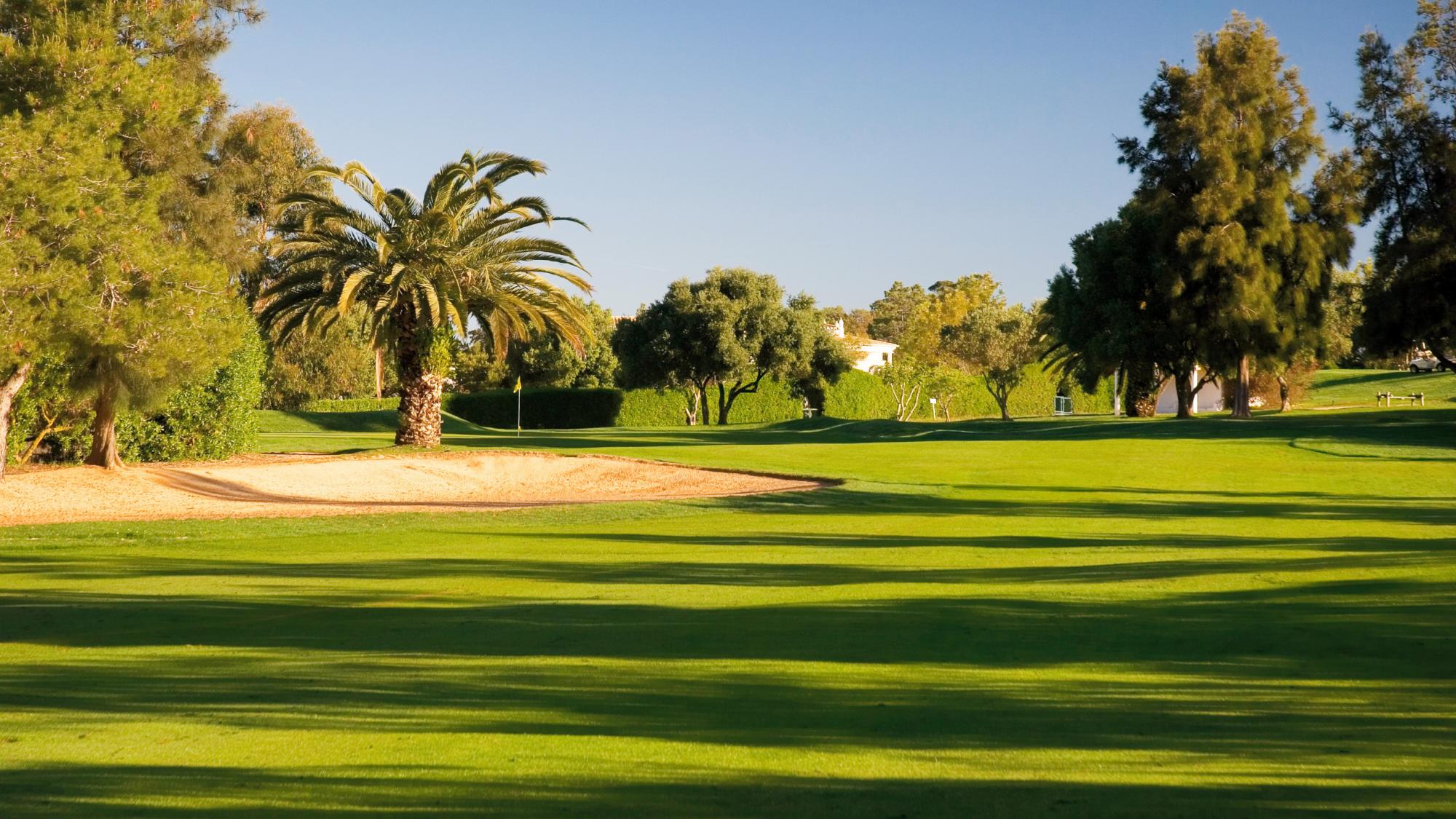 Alto Golf Course Transfers