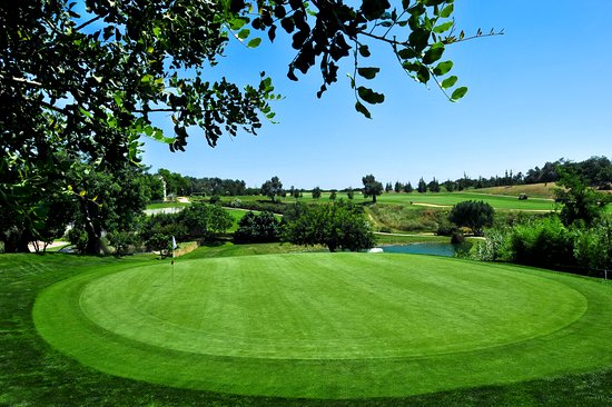 Benamor Golf Course Transfers
